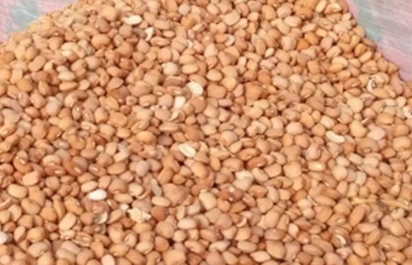 Beans
